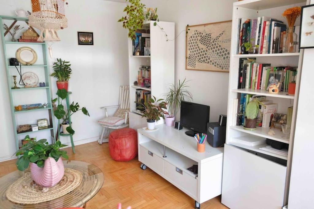 Piso Centrico, Bonito, Acogedor, Aire Acondicionado Y Piscina Enfrente De Casa Μαδρίτη Εξωτερικό φωτογραφία